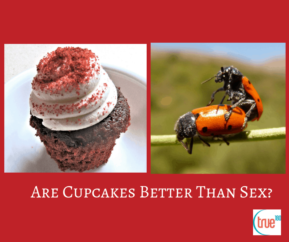 True180 Personal Training | Stress Eating: Are Cupcakes Better Than Sex?