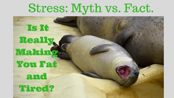 True180 Personal Training | Stress: Myth vs. Fact. Is It Really Making You Fat and Tired?