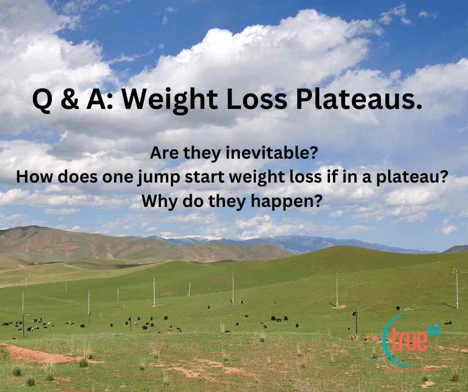 1Weight Loss Plateaus